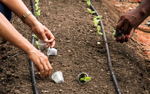 Cultivando Ideias, a Sustentabilidade Gota a Gota - Eletrobras